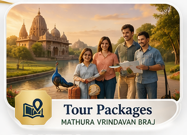 Tour package service
